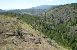 Looking down a canyon from a ridge, White Lake Trail 2010-06.